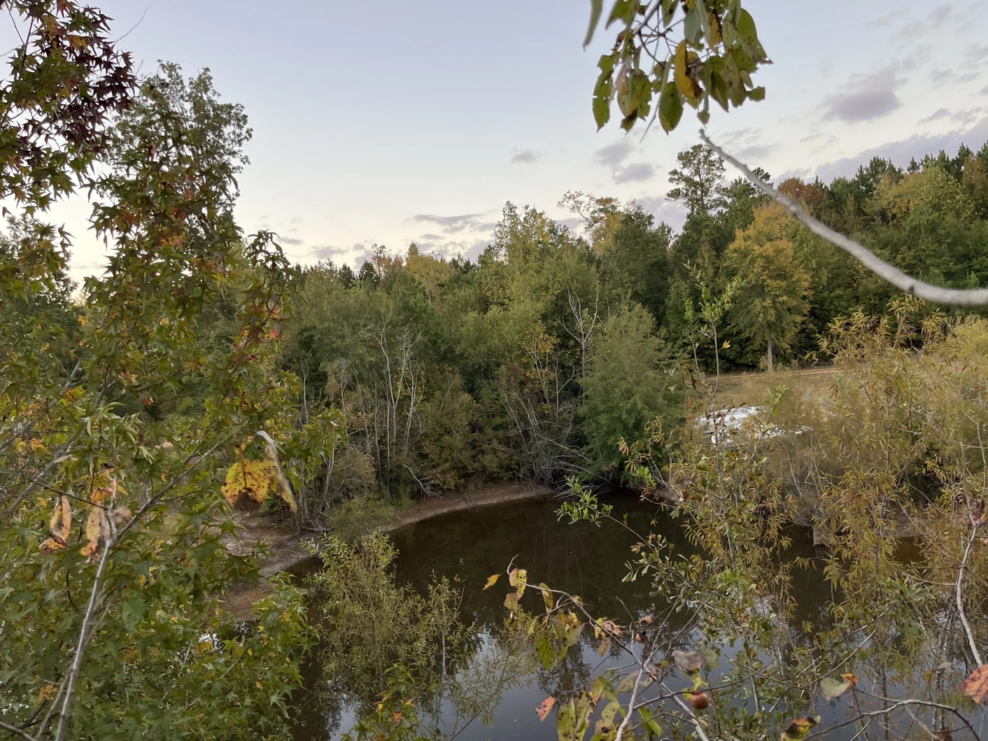 A pond visible behind some trees