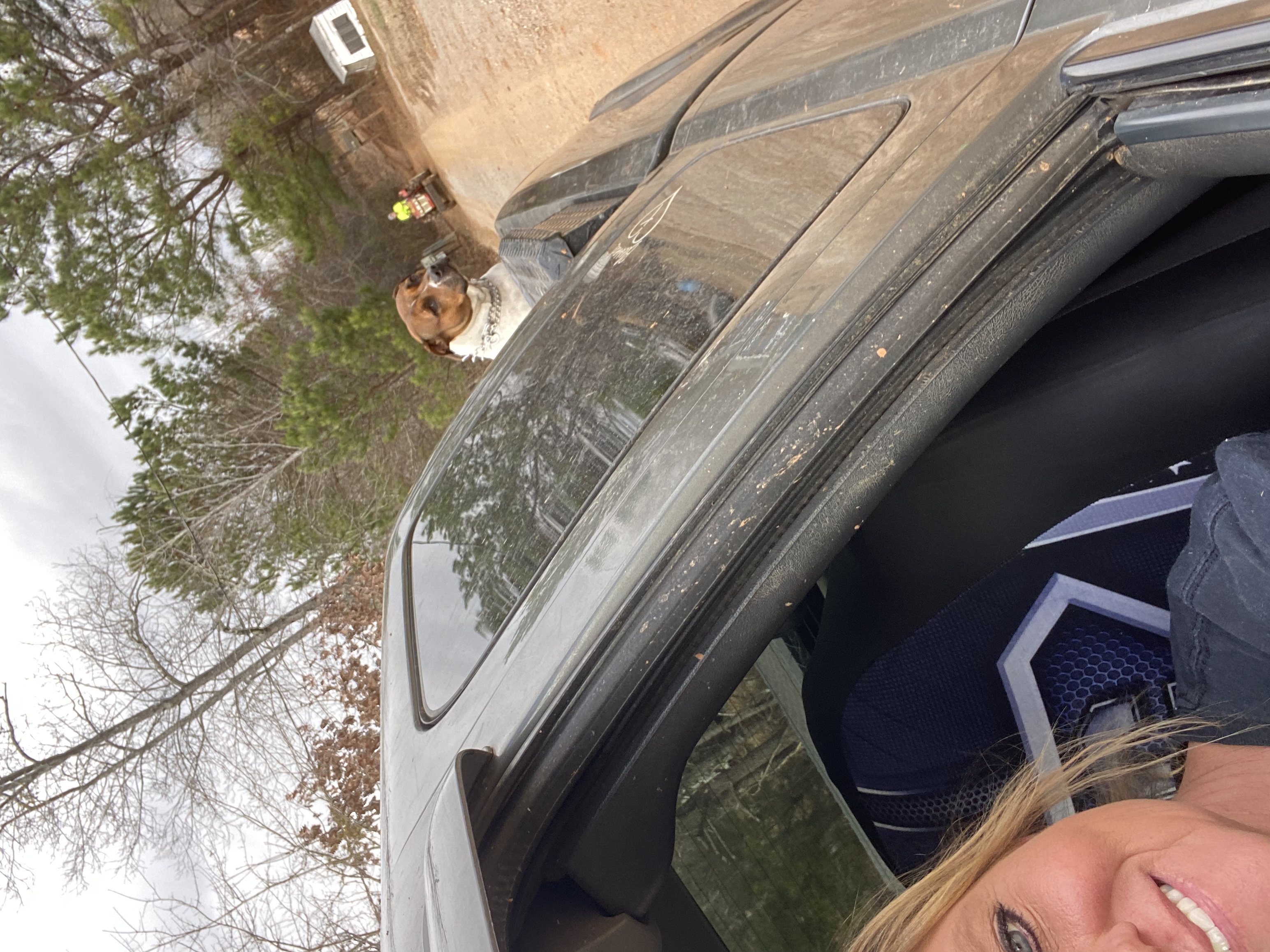 One person posing while sitting in driver seat of truck, a dog is in the bed of truck