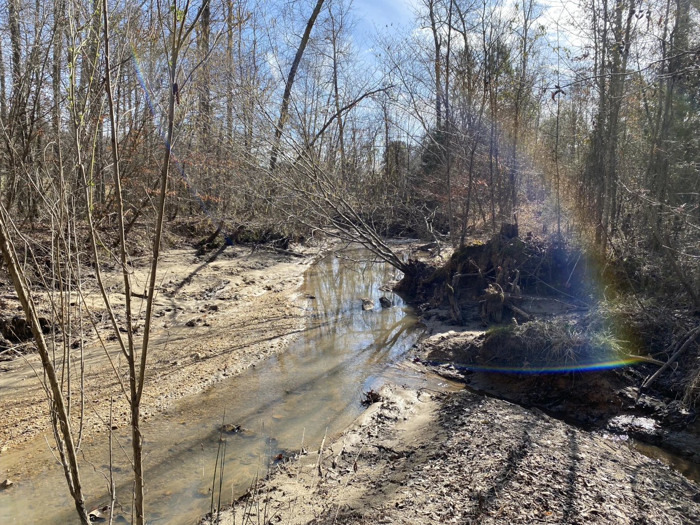 Rainbow over a creek in the woods