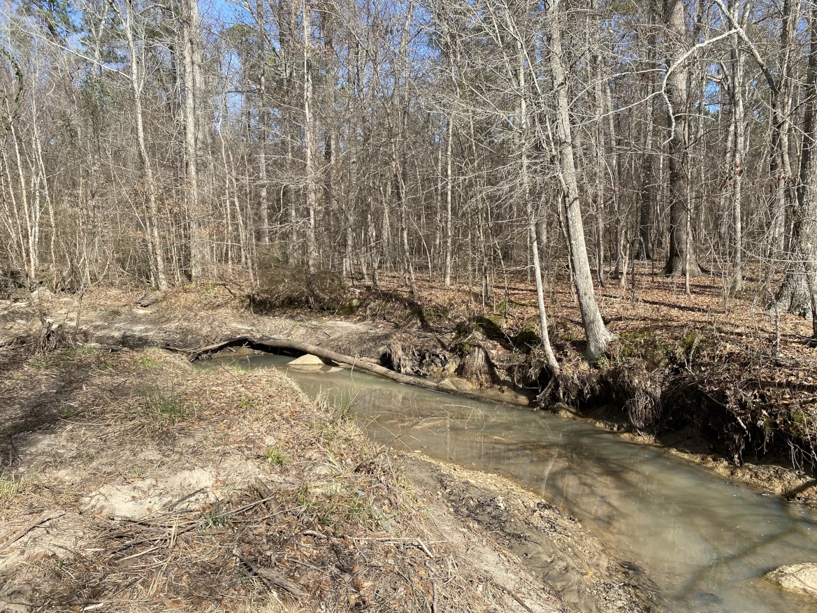 Creek in the woods